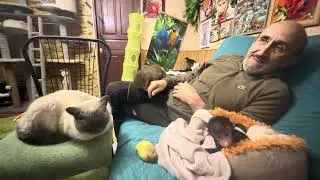 Странные есть люди, они умудряются критиковать даже милые видео детских утренников и подарков😘