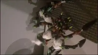 lego chima Rogon battle #savechima