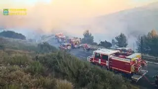 FEU DE FORET A LUMINY 05 09 2016