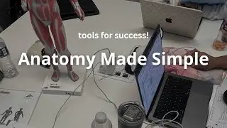 Anatomy Made Simple: How I Studied MSK Anatomy in Medical School