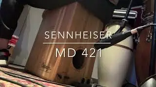Comparativa micro cajon flamenco