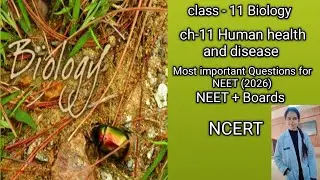 Class 11 Biology ch-11 Human health and disease | All important questions practice for NEET+ Boards 