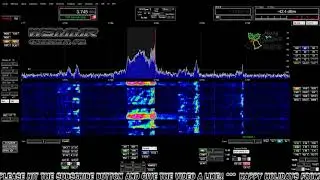 Pure Signal?