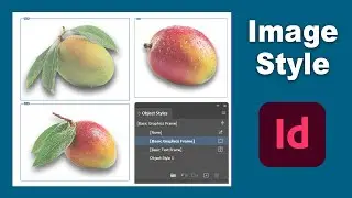How to create Custom Image Style in adobe InDesign