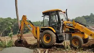 Huge Coconut Tree Cutting Down