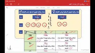 المحاضرة رقم 7: التهجين الثنائي 
