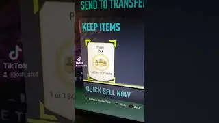 PREMIER LEAGUE TOTS 84+ PLAYER PICK