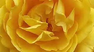 Пушкин Oсень VIII Poem Pushkin Autumn VIII  read in Russian with English translation in captions