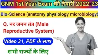 Male Reproductive System Notes Hindi, Video 31, Bio science Notes, GNM 1st Year 2022-23 सभी के लिए