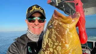 ABC del Jigging con le GOMME: esche, lenze e marcature da cercare