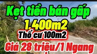 Kẹt tiền bán gấp 1.400m2 đất thổ cư 100m2 mặt tiền đường dal ô tô giá rẻ xã định Hoà Tỉnh An Giang 