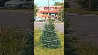 Methheads at the family dollar