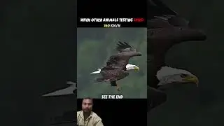 funny video viral video like subscribe #funny #viral #shortvideo #trending #shortvideo #shorts