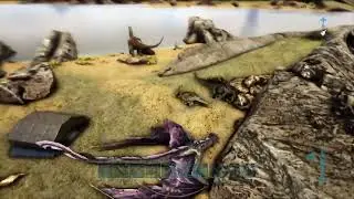 Ark direct!