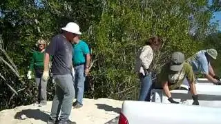 Volunteering at Crocodile Lake NWR, Florida