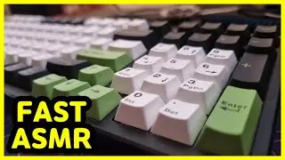 【FAST ASMR】 AULA F98X⌨️ | Magnetic Switches | Keyboard Typing ASMR | No ADs No Talking😴