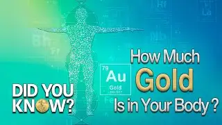 Gold in the Human Body: How Much is There?