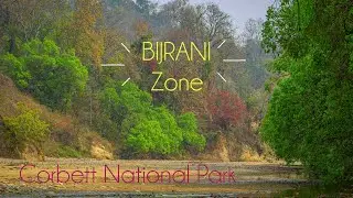 Bijrani Zone | Virtual Tour | Corbett National Park |