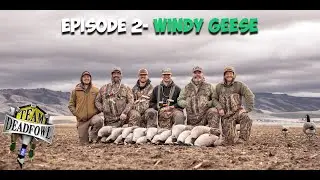 Decoying geese perfectly!