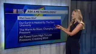 Weather at your school: What causes wind?