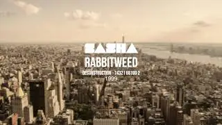 Sasha - Rabbitweed