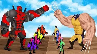 Evolution of Wolverine vs Evolution of Color Team Deadpool [2025] | SUPER HEROES MOVIE ANIMATION