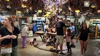 Animal Kingdom Avatar Pandora Christmas Dusk Windtraders Way of Water #disney #disneyworld  #orlando