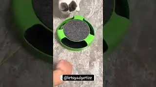 Mouse Toy for Cats |  Toys on Amazon | Find for Me on Tiktok | #shorts #cats