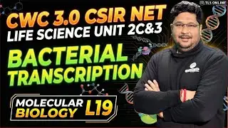 𝐎𝐩𝐞𝐫𝐨𝐧 𝐂𝐨𝐧𝐜𝐞𝐩𝐭 | 𝐂𝐒𝐈𝐑 𝐍𝐄𝐓 𝐋𝐢𝐟𝐞 𝐒𝐜𝐢𝐞𝐧𝐜𝐞 𝐔𝐧𝐢𝐭 𝟐𝐂 & 𝟑 | 𝐌𝐨𝐥𝐞𝐜𝐮𝐥𝐚𝐫 𝐁𝐢𝐨𝐥𝐨𝐠𝐲 𝐋𝟏𝟗 | 𝐂𝐖𝐂 𝟑.𝟎