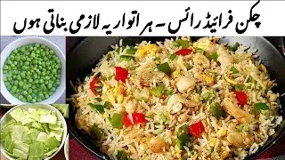 Restaurant Style Chicken Egg Fried Rice Recipe | Chinese Biryani Recipe | Laila's Kitchen 