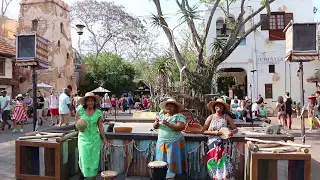 ANIMAL KINGDOM - African Music at Animal Kingdom in Walt Disney World