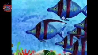 Fish live in the water W/Effect Sponsored by: Gamavision Csupo effects