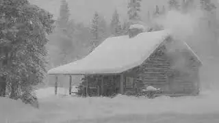 Heavy Howling Wind & Violent Snowstorm Sounds Outside | Cozy Winter Ambience for Deep Sleep