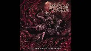 Cenotaph - Multi Organ Failure Epidemie