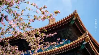 Blues music  - The Time Has Come Again For Happiness -  Grey Wilson    Jazz Music -  Gloria Music
