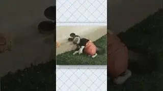 The Most TERRIFYING Mickey Mouse Appearance EVER