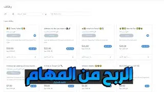 مراجعة موقع Hive Micro هل حقيقة يدفع المال مقابل المهام؟ شاهد بنفسك