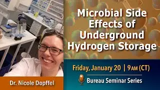 Microbial side effects of underground hydrogen storage - Risks and opportunities for implementation