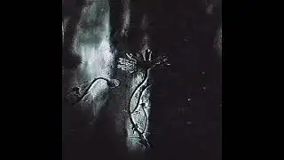 WSN - Busy [𝑠𝑙𝑜𝑤𝑒𝑑 + 𝑟𝑒𝑣𝑒𝑟𝑏] video 🪶☄️