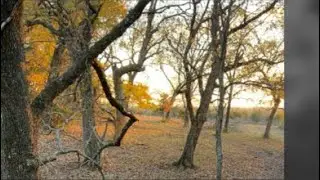 Oklahoma Peak Rut Experience!