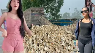 Full Video: Millions of Ducks Migrate by Boat & Truck &ndash; Vietnam&rsquo;s Smartest Farm Operation Ever! 🦆⛵🚛💰