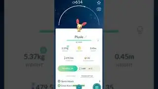 Plusle Electric Pokemon going for a candy || Pokemon go | #shorts #pokemongo #youtube #trending