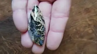 Indonesian Tiger Dendrite Agate Cabochon