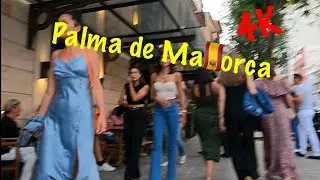 Experience the Magic of Palma de Mallorca After Dark