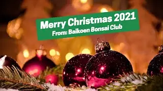 Merry Christmas from Baikoen Bonsai Club