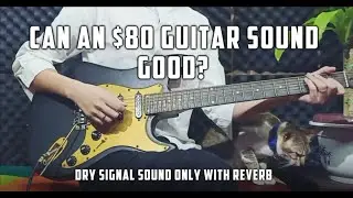 CAN AN $80 GUITAR SOUND GOOD?