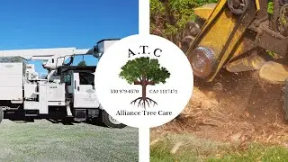 Alliance Tree Care