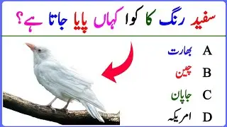 Mind Blowing MCQs Quiz | General Knowledge Test | Word gk Questions | Knowledge Boost