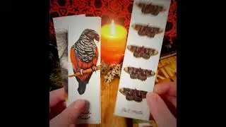 Bookmarks - Midnight Menagerie