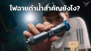 ไฟฉายดำน้ำสำคัญยังไง? | Dive Light 101